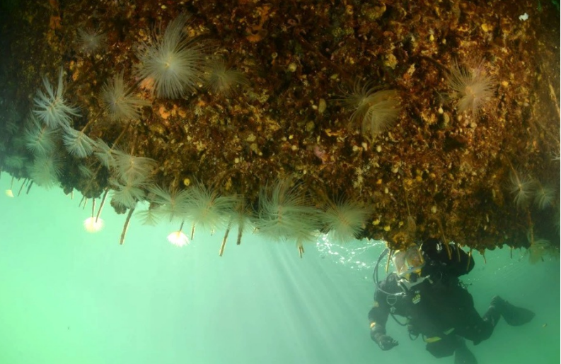 Underwater Rust Removal